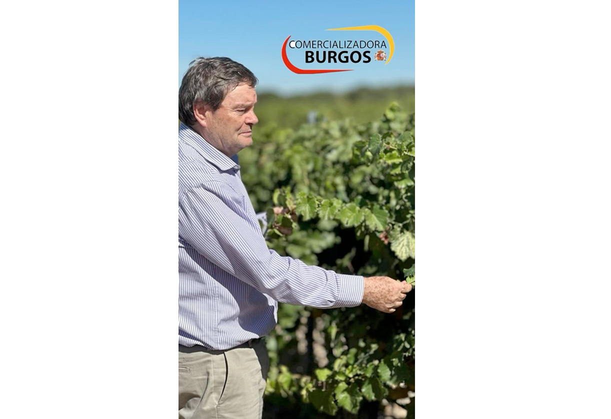 comercializadora-burgos